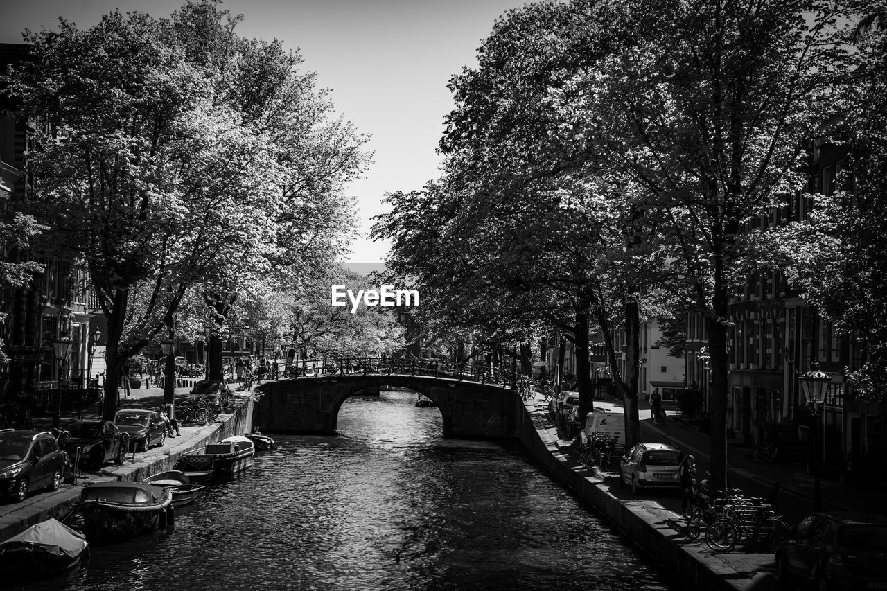 ARCH BRIDGE OVER CANAL IN CITY AGAINST TREES