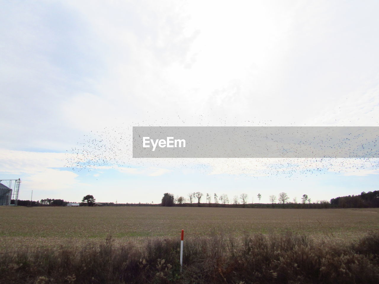 VIEW OF RURAL LANDSCAPE