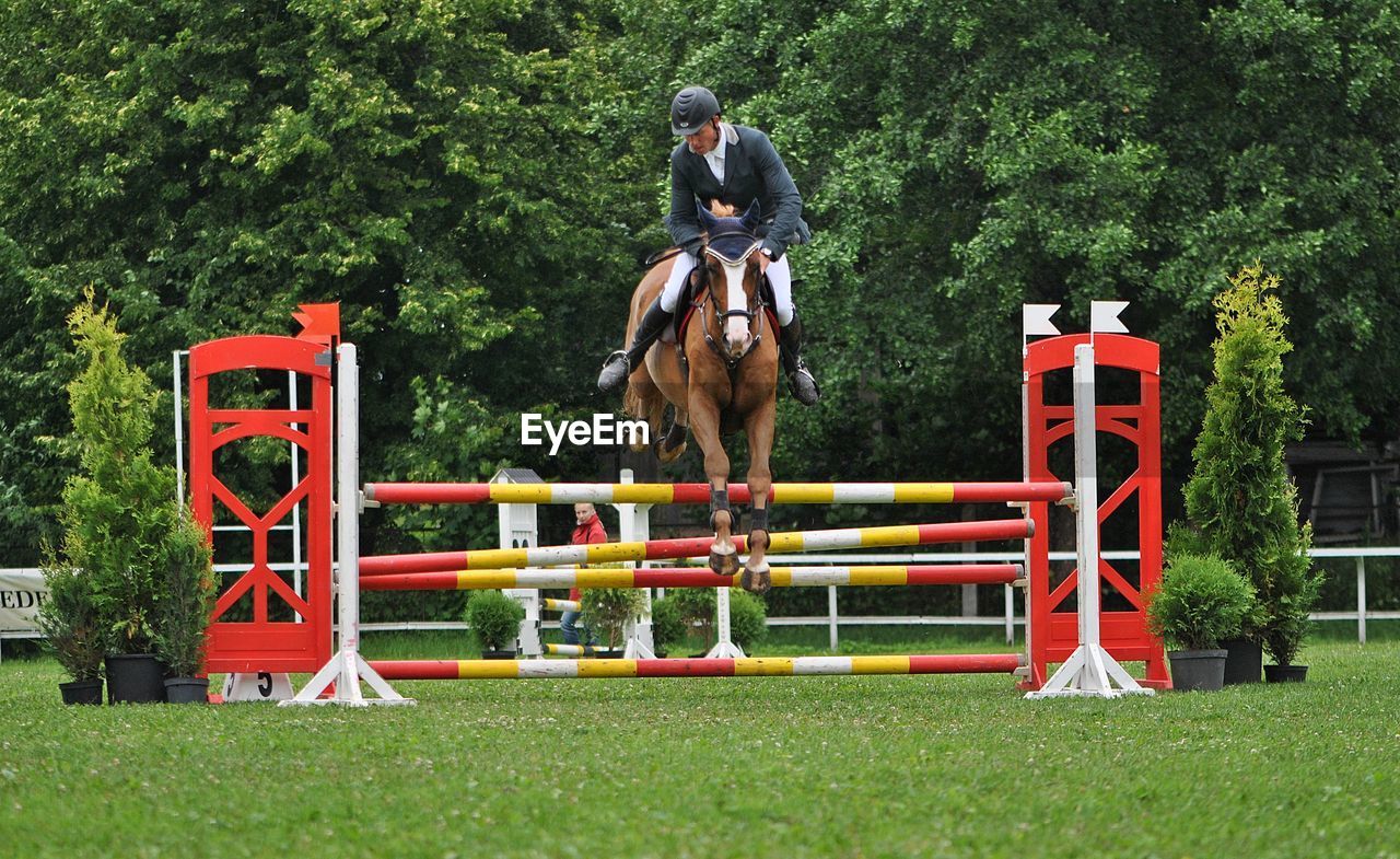 Jockey with horse jumping on hurdle
