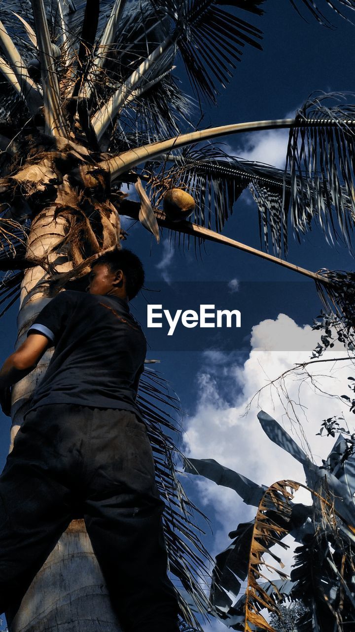 Low angle view of man standing by palm trees against sky