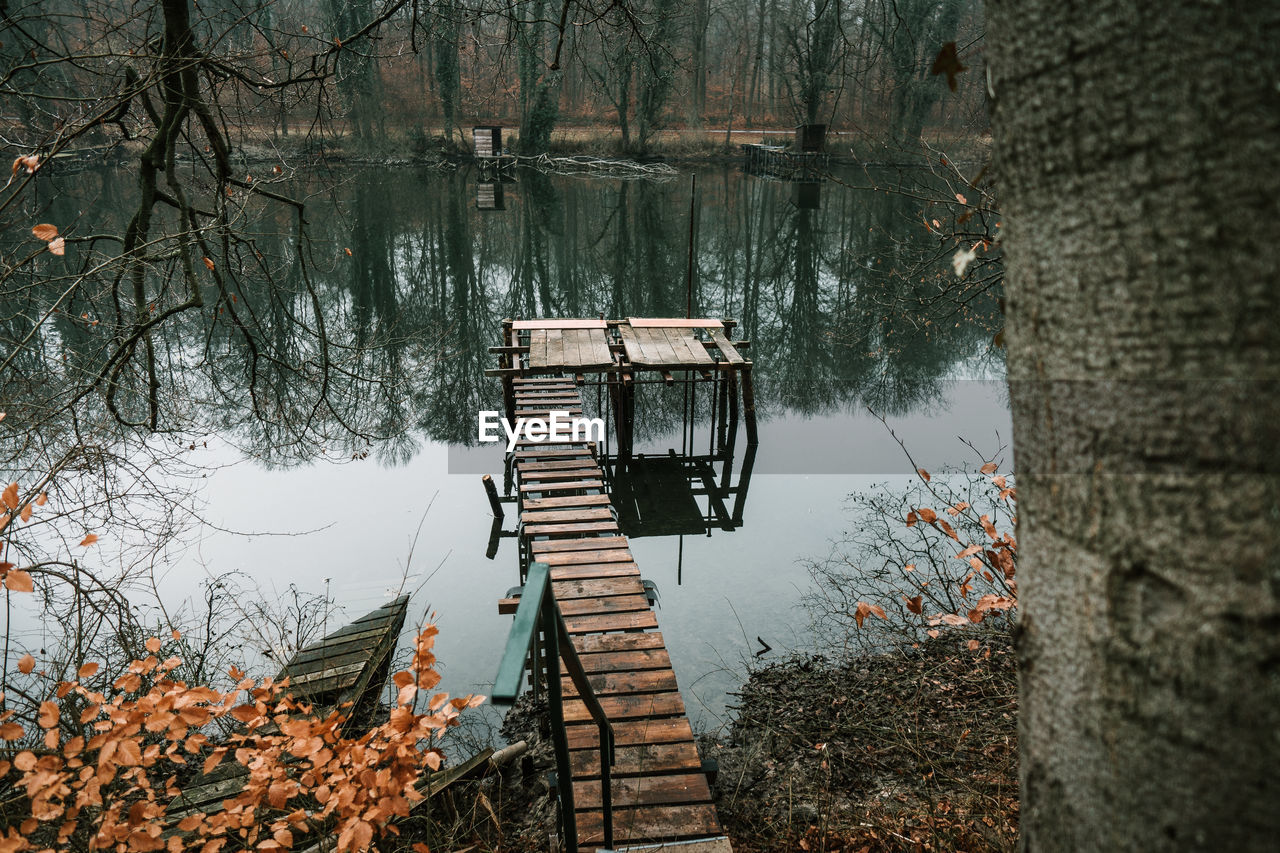 Boardwalk over lake in forest