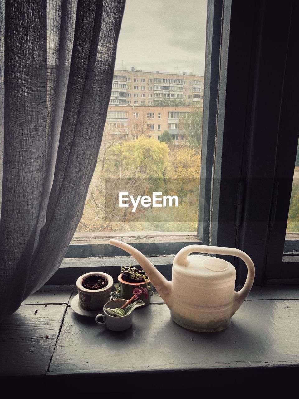 window, coffee cup, indoors, tableware, cup, mug, curtain, no people, drink, tea, interior design, window sill, day, food and drink, nature, tea cup, hot drink, black, glass, home interior, architecture, still life, refreshment, table, plant, jug, coffee