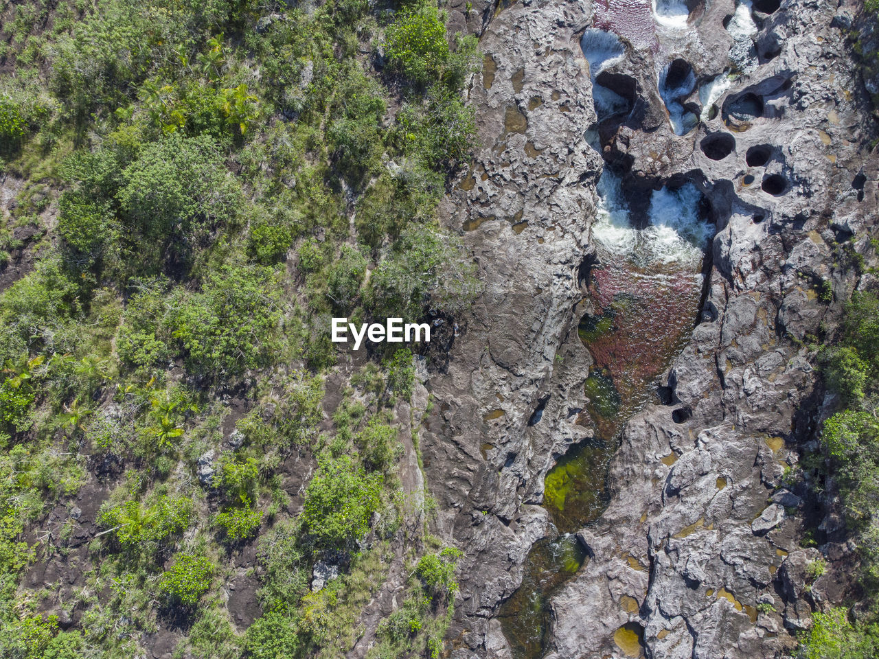 plant, growth, day, high angle view, nature, tree, no people, land, green, beauty in nature, tranquility, outdoors, flower, trail, terrain, sunlight, wilderness, geology, ridge, rock, field, adventure, aerial photography