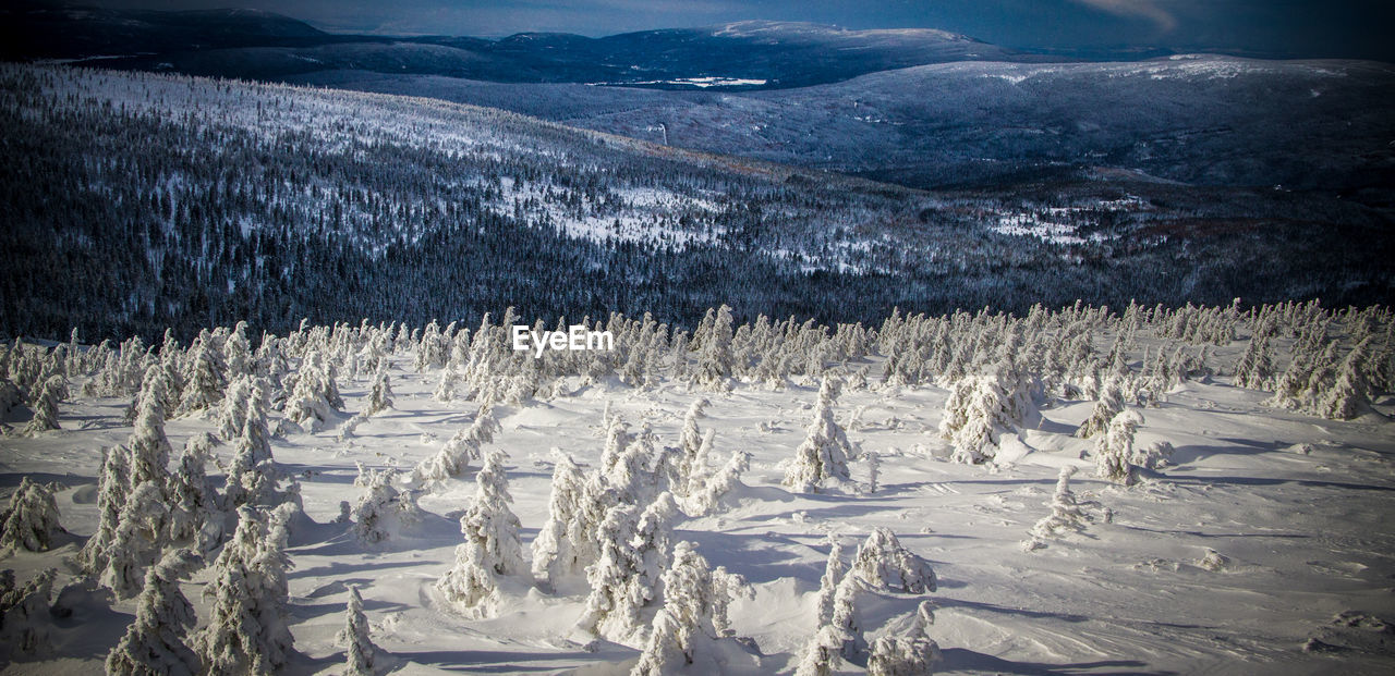 Scenic view of snow covered land