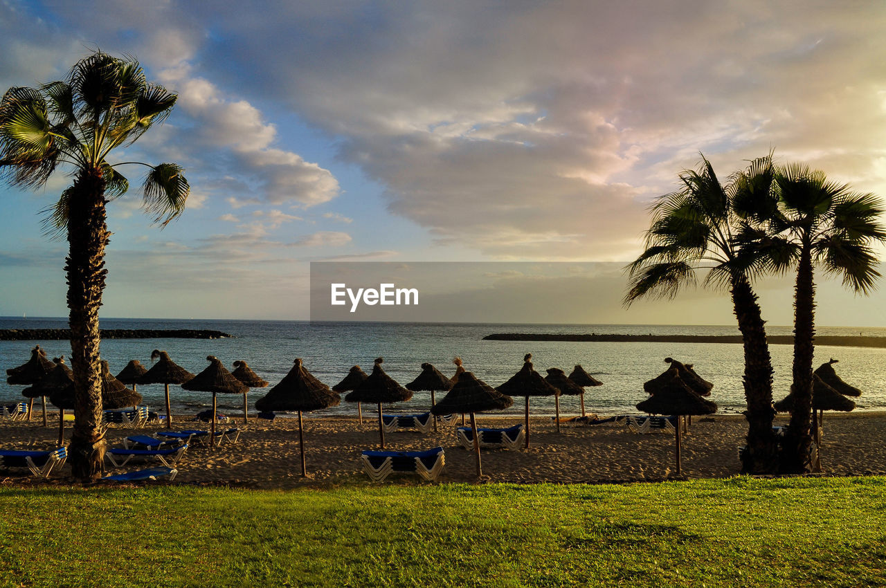 SCENIC VIEW OF SEA WITH TREES IN BACKGROUND