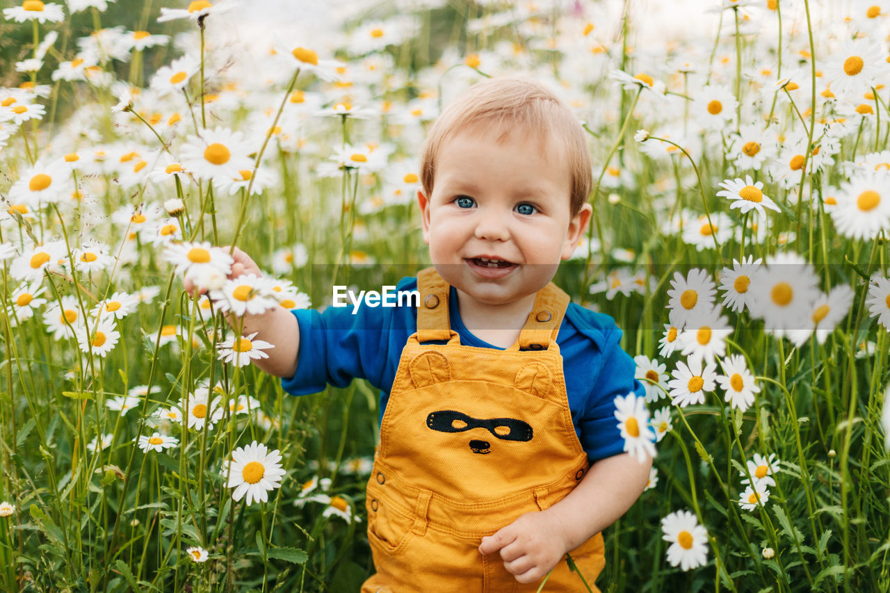 A blue-eyed and fair-haired boy stands in a flowery meadow with chamomile flowers and smiles