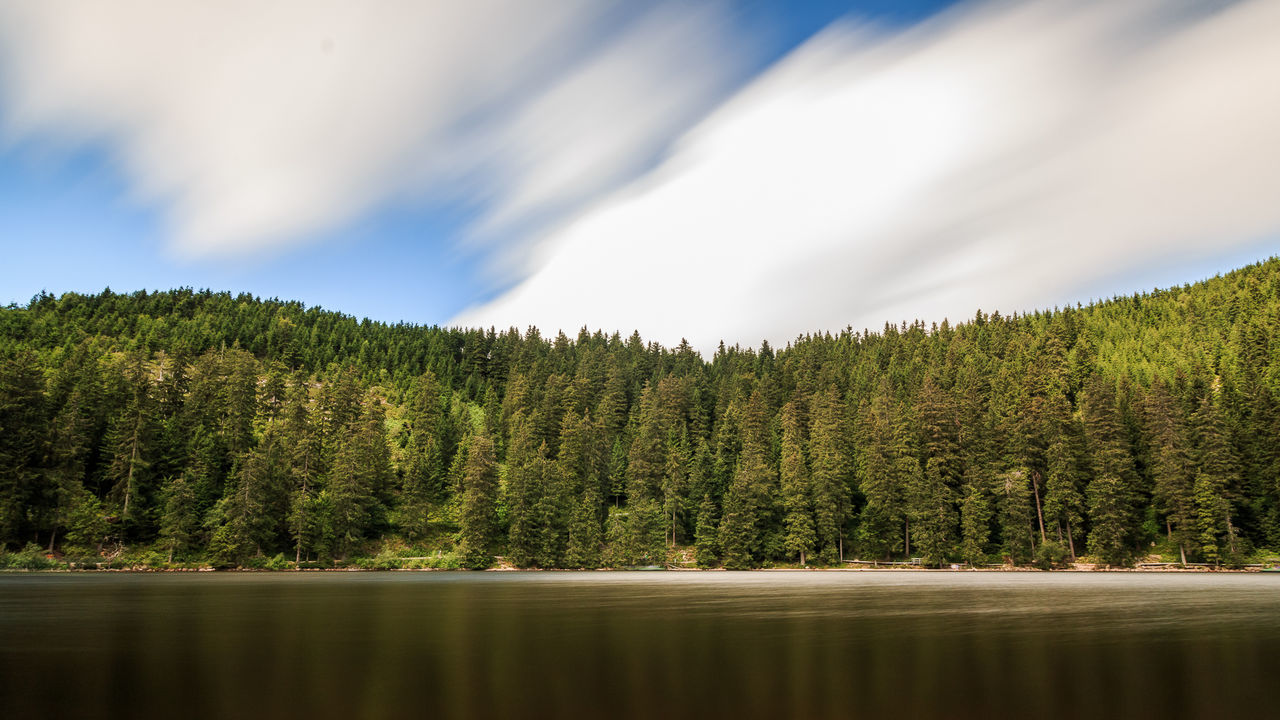 Lake and trees against cloudy sky