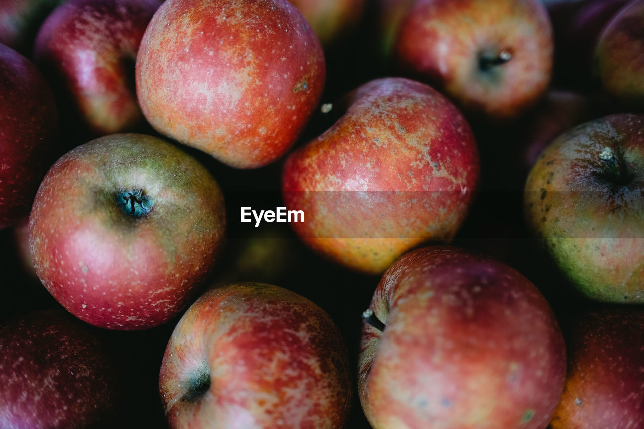 CLOSE-UP OF APPLES IN MARKET