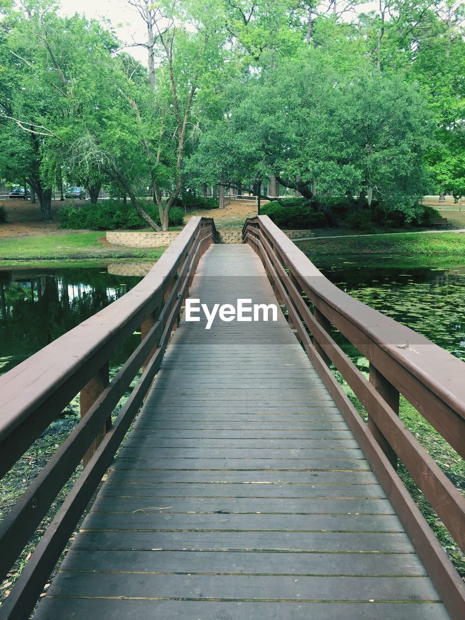 Footbridge amidst trees against sky