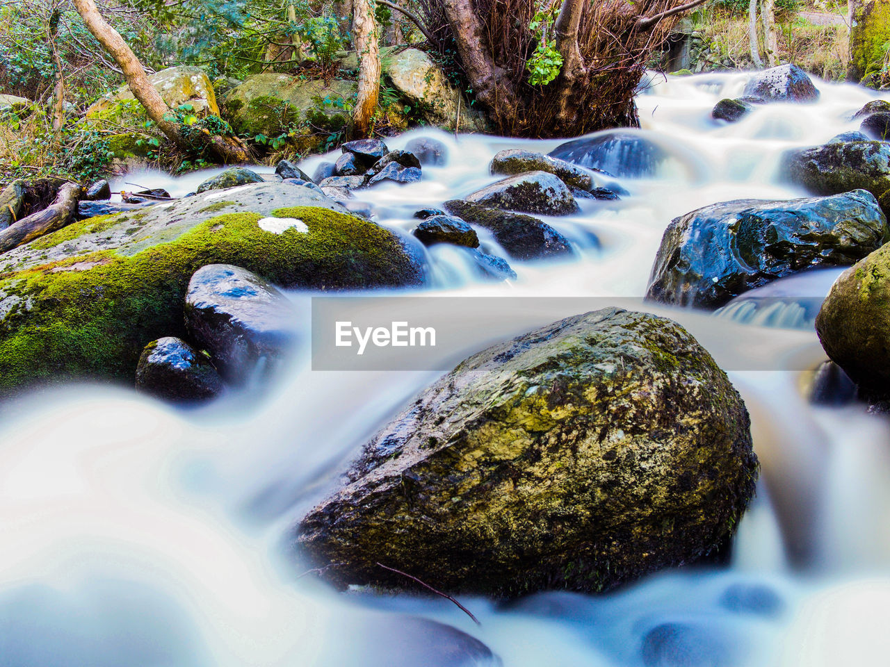 High angle view of stream flowing through rocks at forest