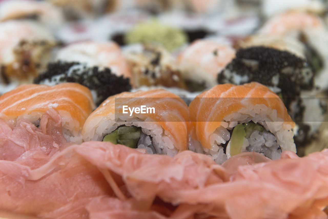 Close-up of sushi