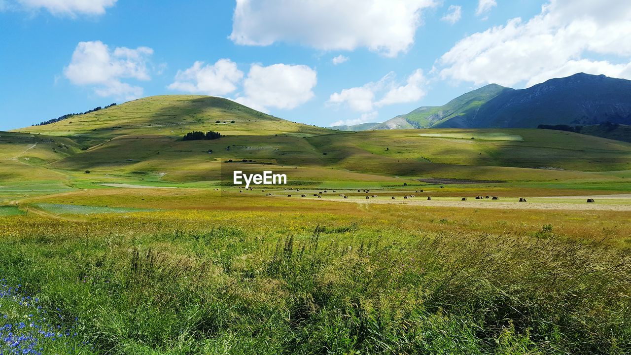 Scenic view of landscape against sky