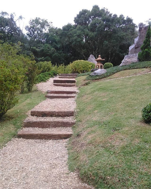 VIEW OF TREES ALONG PLANTS