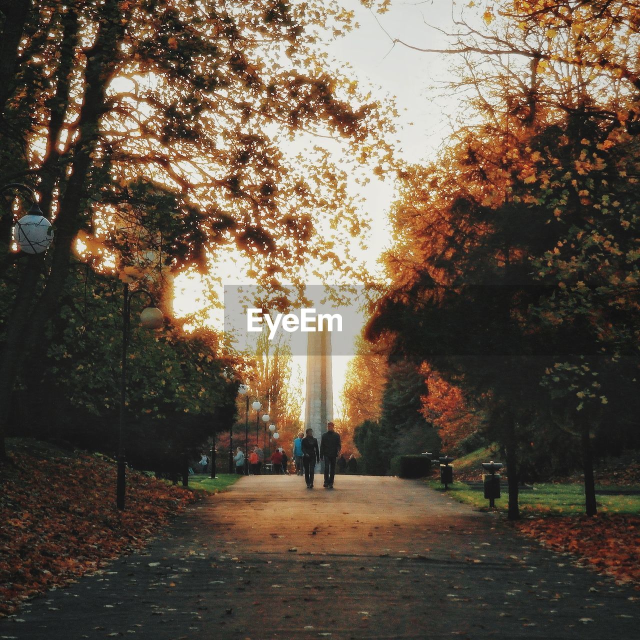 Rear view of people walking on pathway along trees