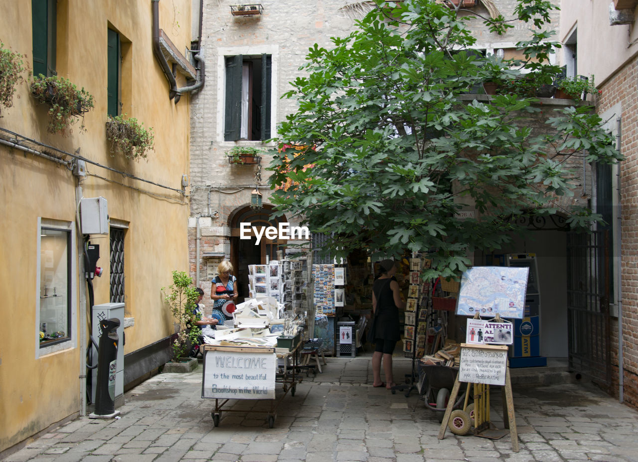 POTTED PLANTS ON STREET AGAINST BUILDINGS