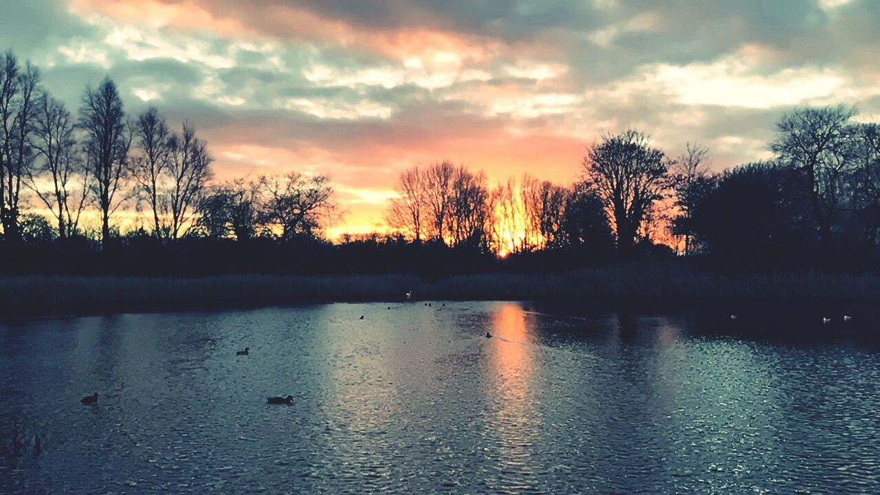 SILHOUETTE TREES BY LAKE AGAINST SKY AT SUNSET