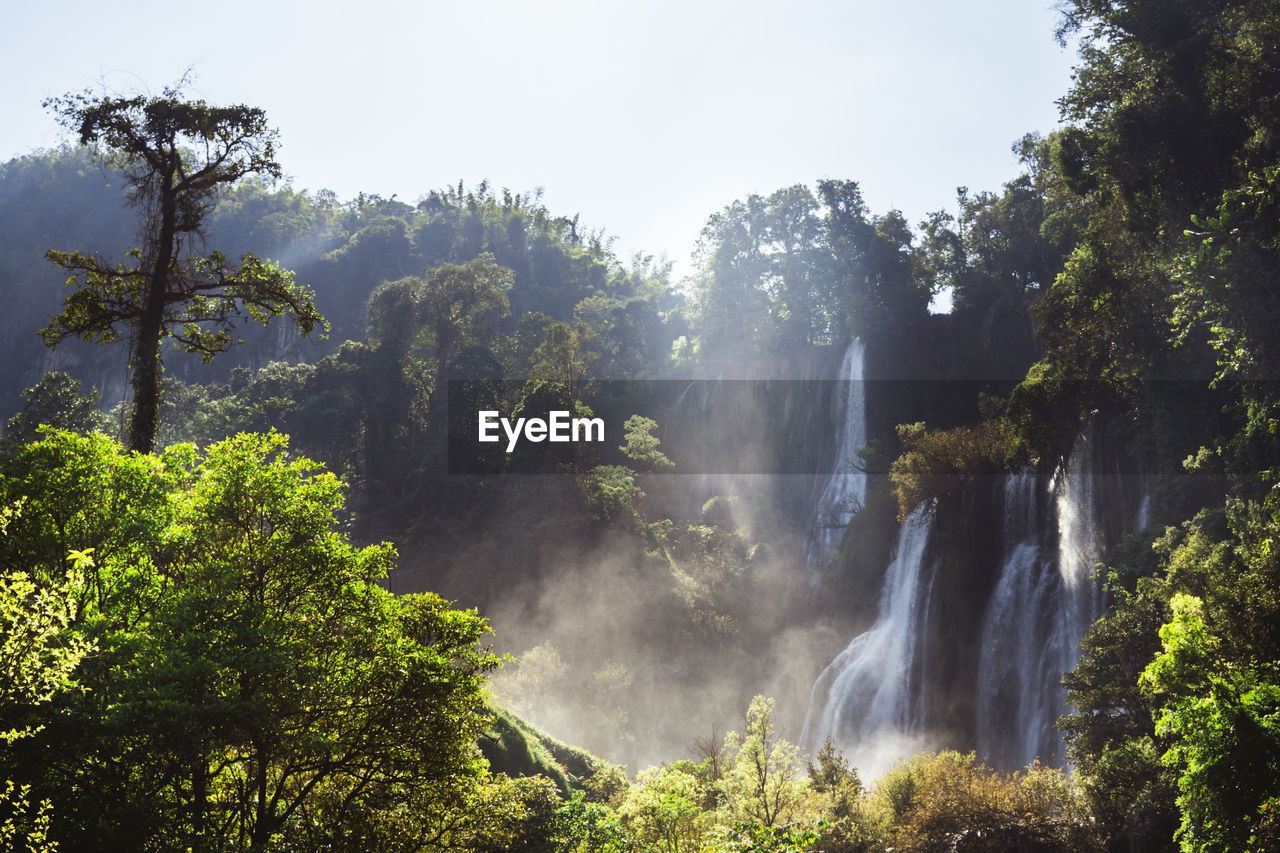 SCENIC VIEW OF WATERFALL
