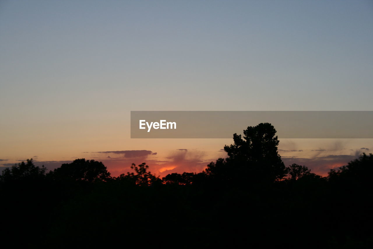 SILHOUETTE TREES AGAINST CLEAR SKY AT SUNSET