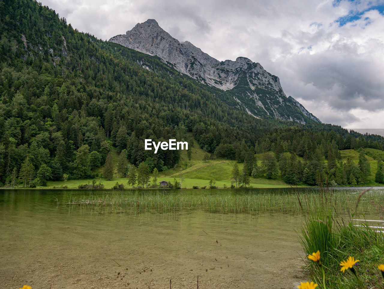 SCENIC VIEW OF LAKE BY TREES AGAINST SKY