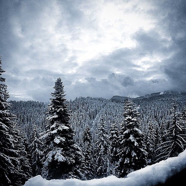 SNOW COVERED MOUNTAIN AGAINST CLOUDY SKY