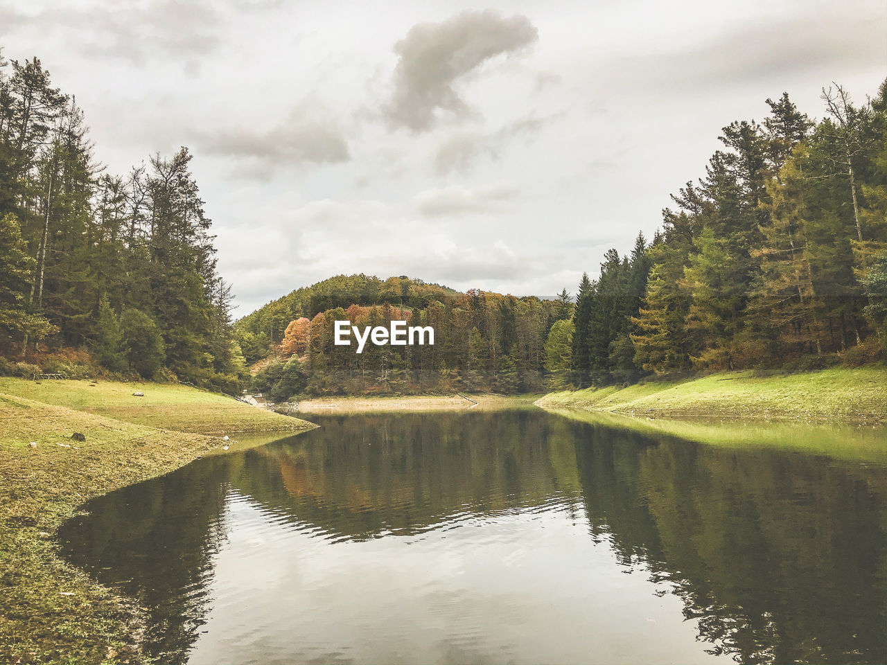 Scenic view of lake in forest against sky