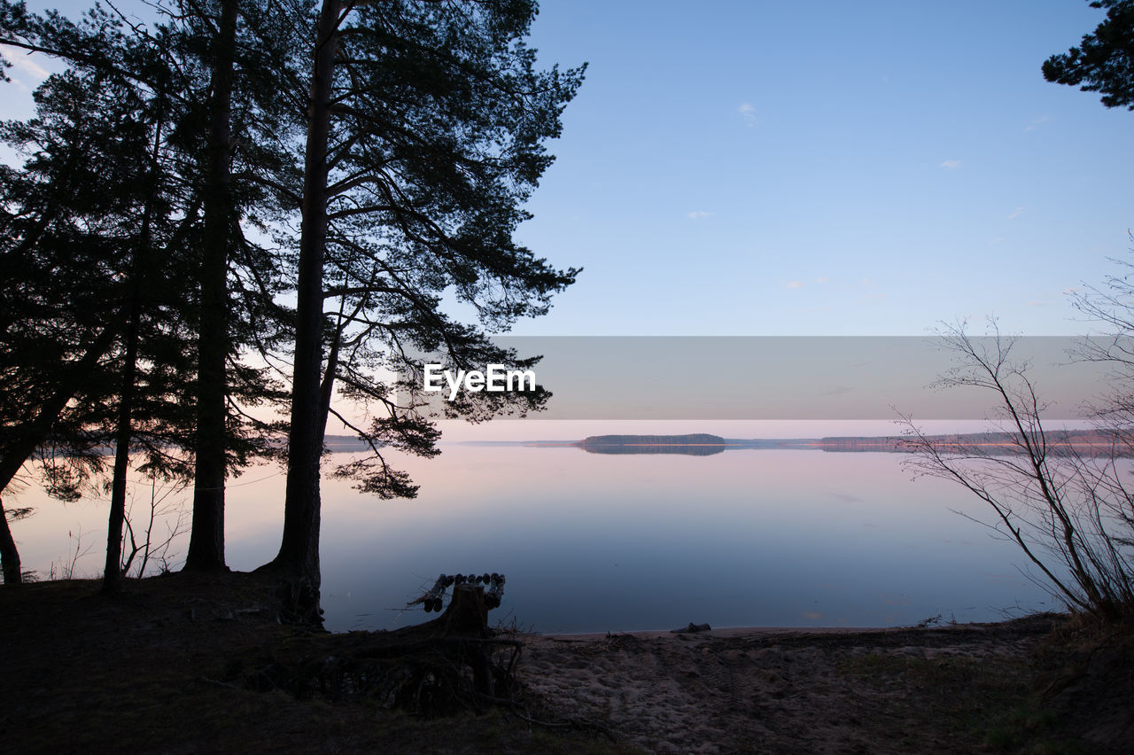 Silhouette trees by lake against sky during sunset