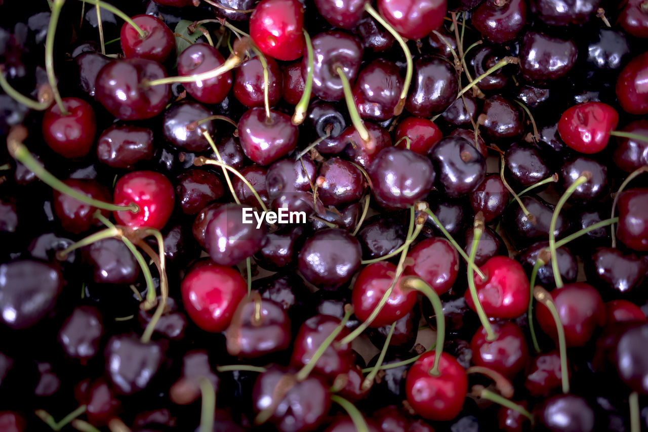 FULL FRAME SHOT OF RED BERRIES