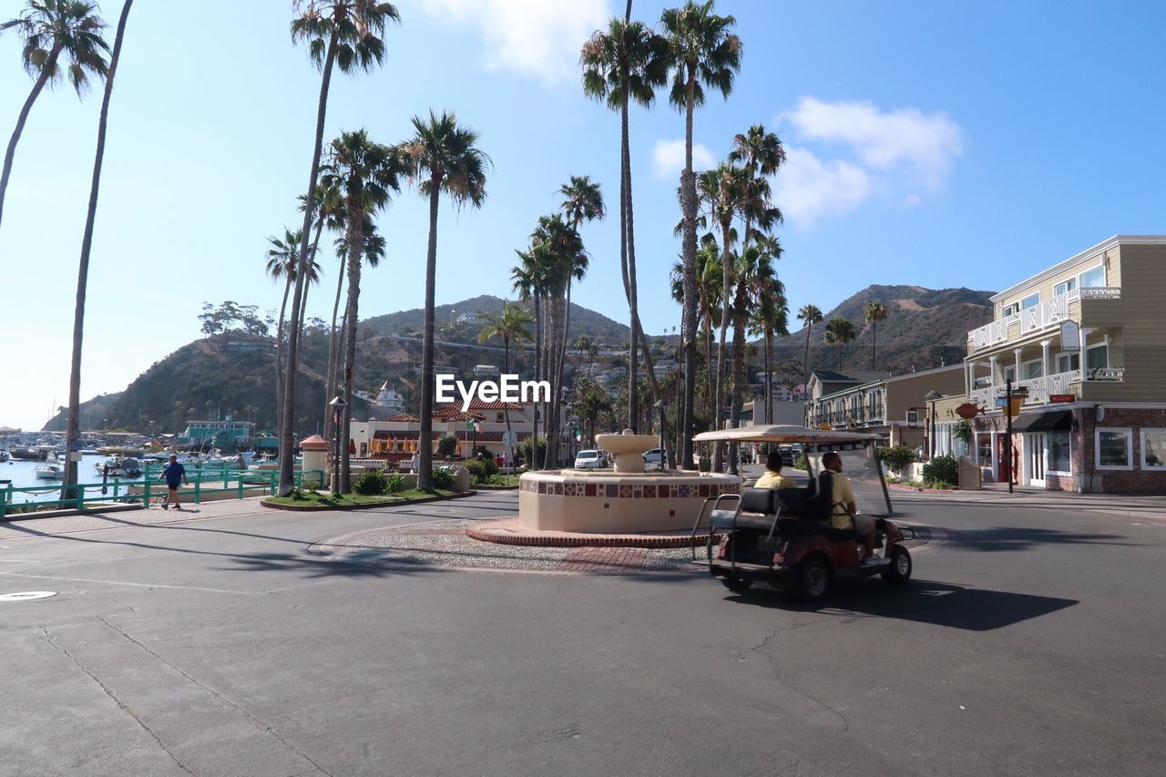 Cars on road by palm trees and buildings against sky