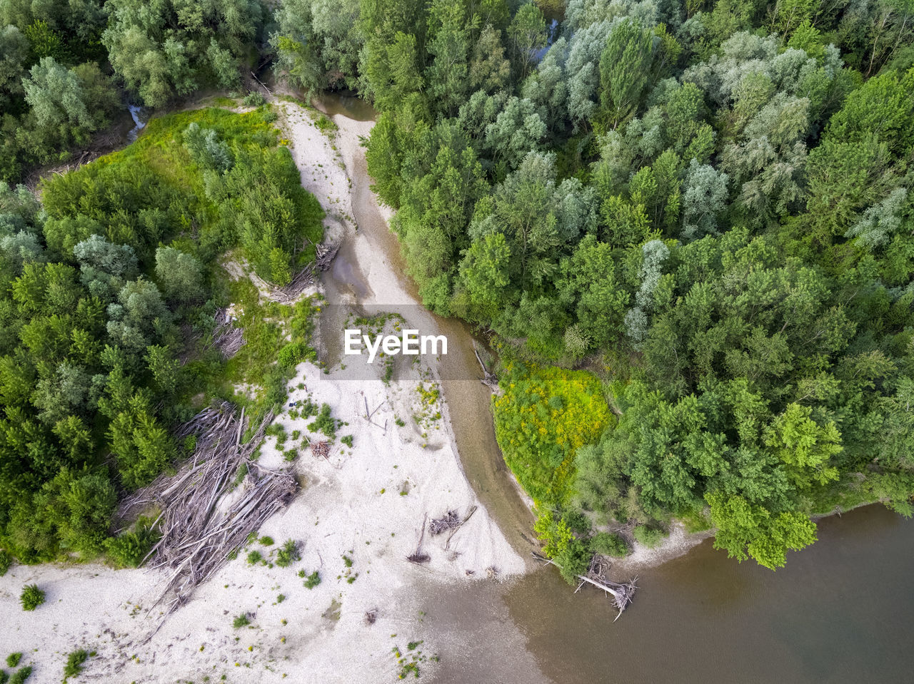 High angle view of river flowing amidst trees in forest