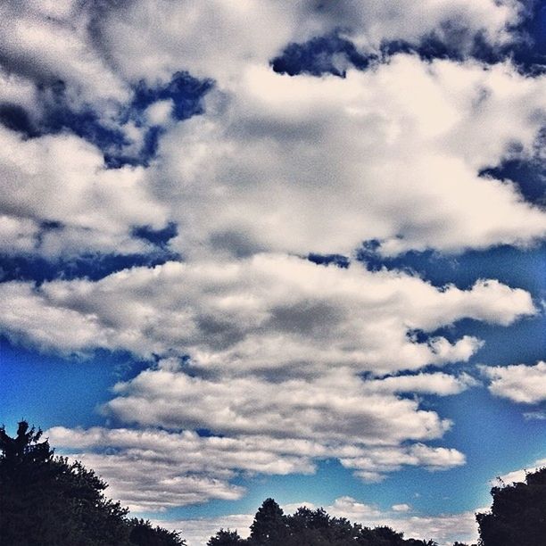 LOW ANGLE VIEW OF TREES AGAINST CLOUDY SKY