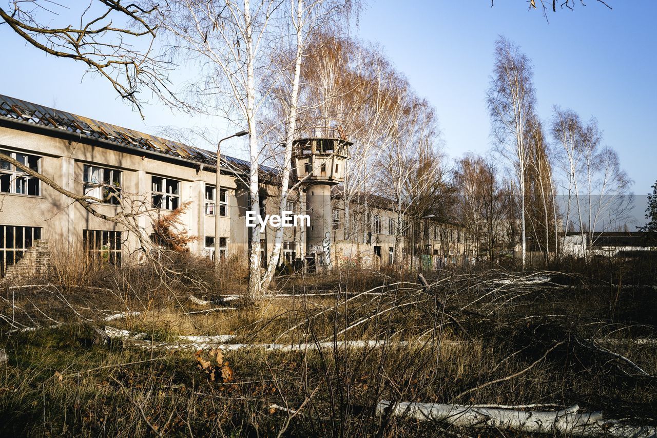 Bare trees against buildings