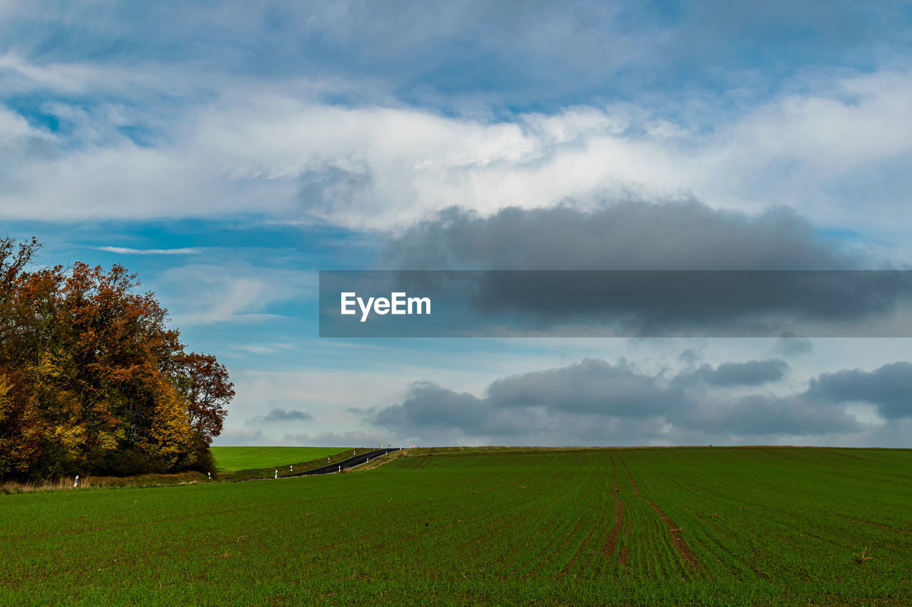 Scenic view of field against sky