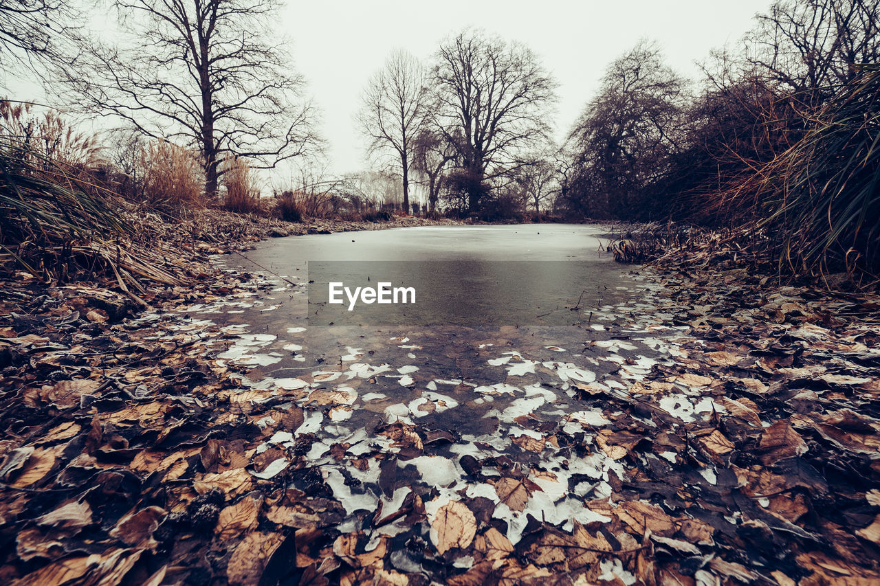 Frozen lake during winter