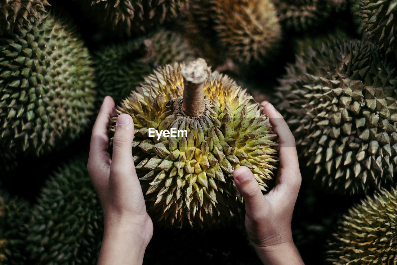 Cropped image of child holding durian at market stall