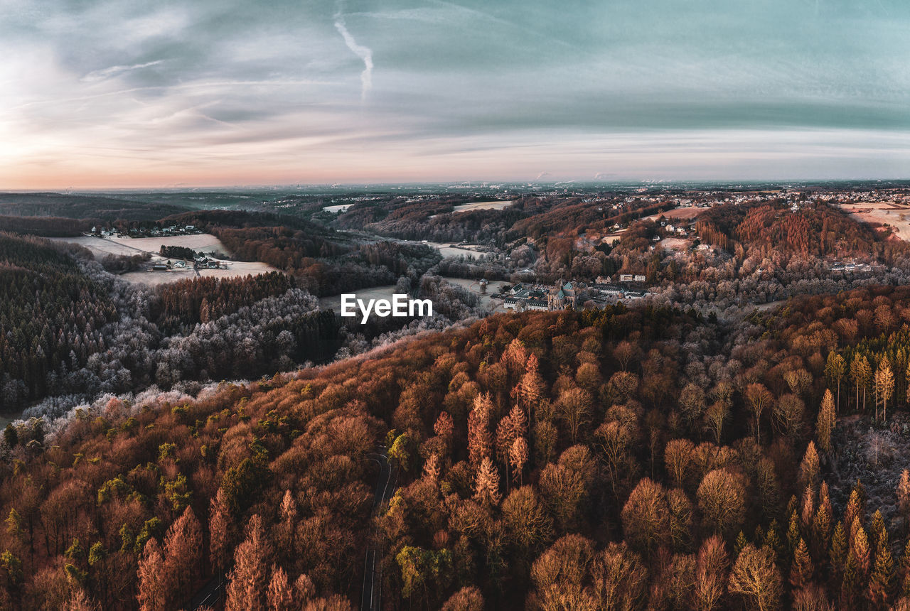 Aerial view of forest against sky during winter