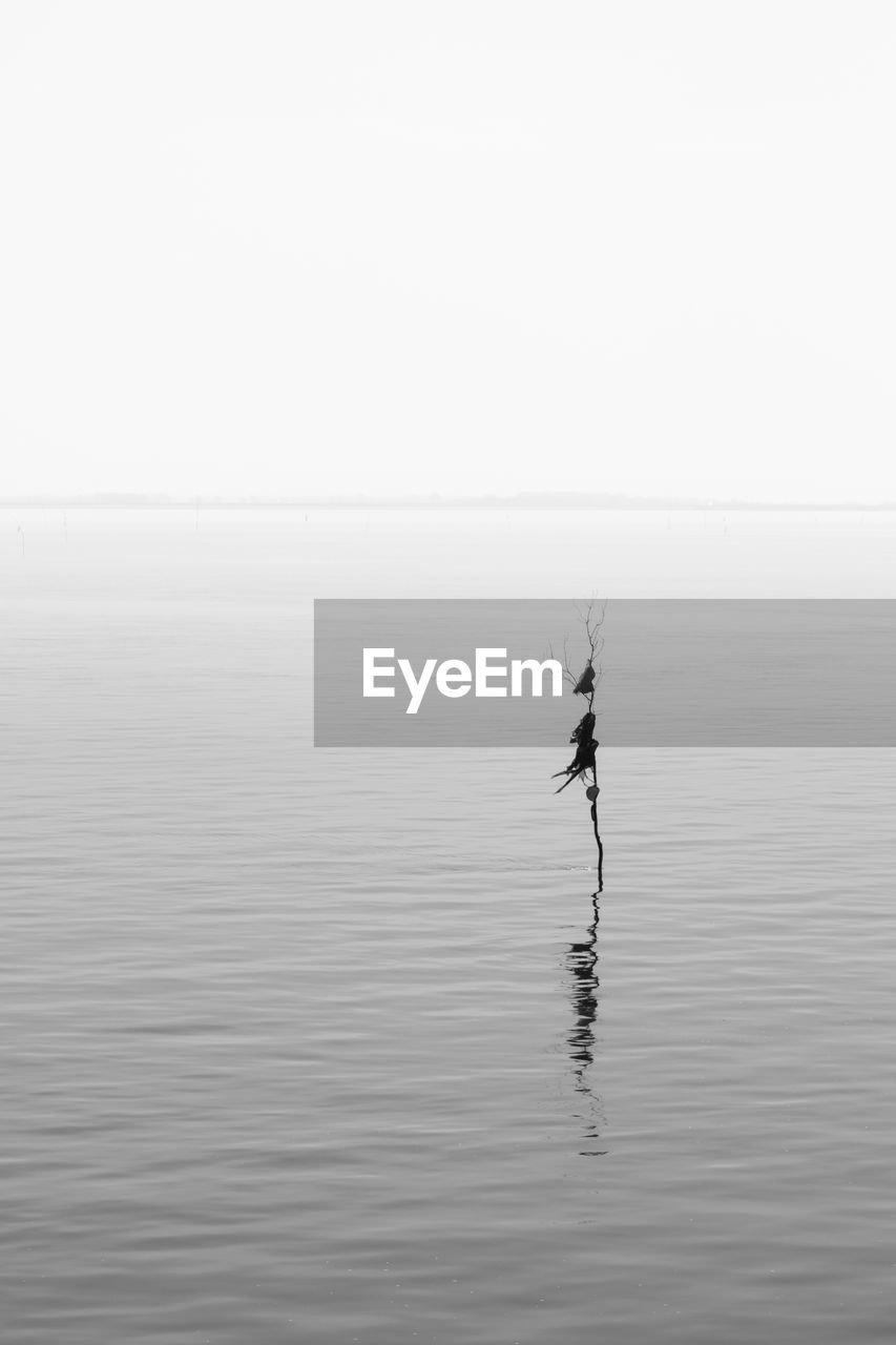 PERSON IN LAKE AGAINST CLEAR SKY