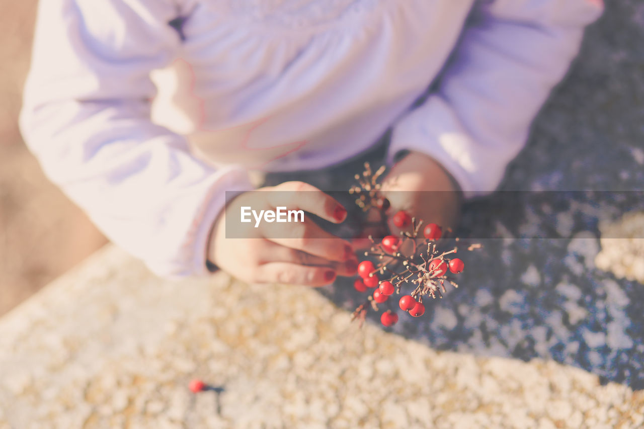 Midsection of girl holding cherries while standing on field