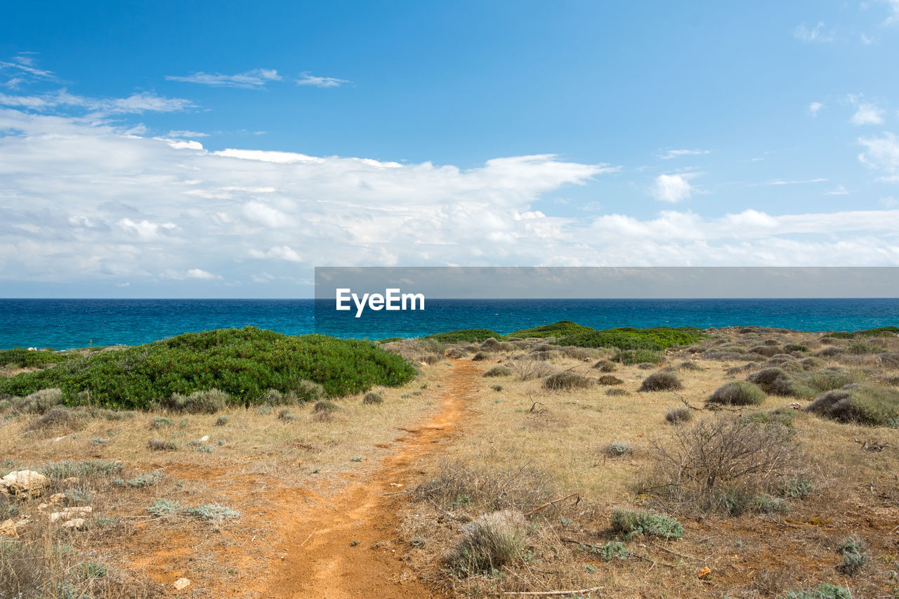 SCENIC VIEW OF SHORE AGAINST SKY