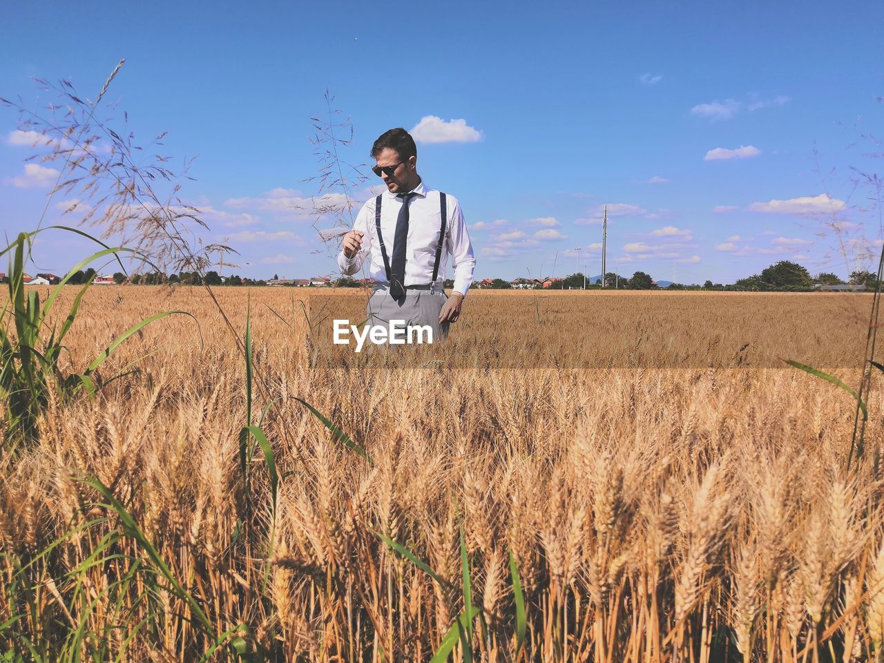 Well dressed man standing amidst plants against sky