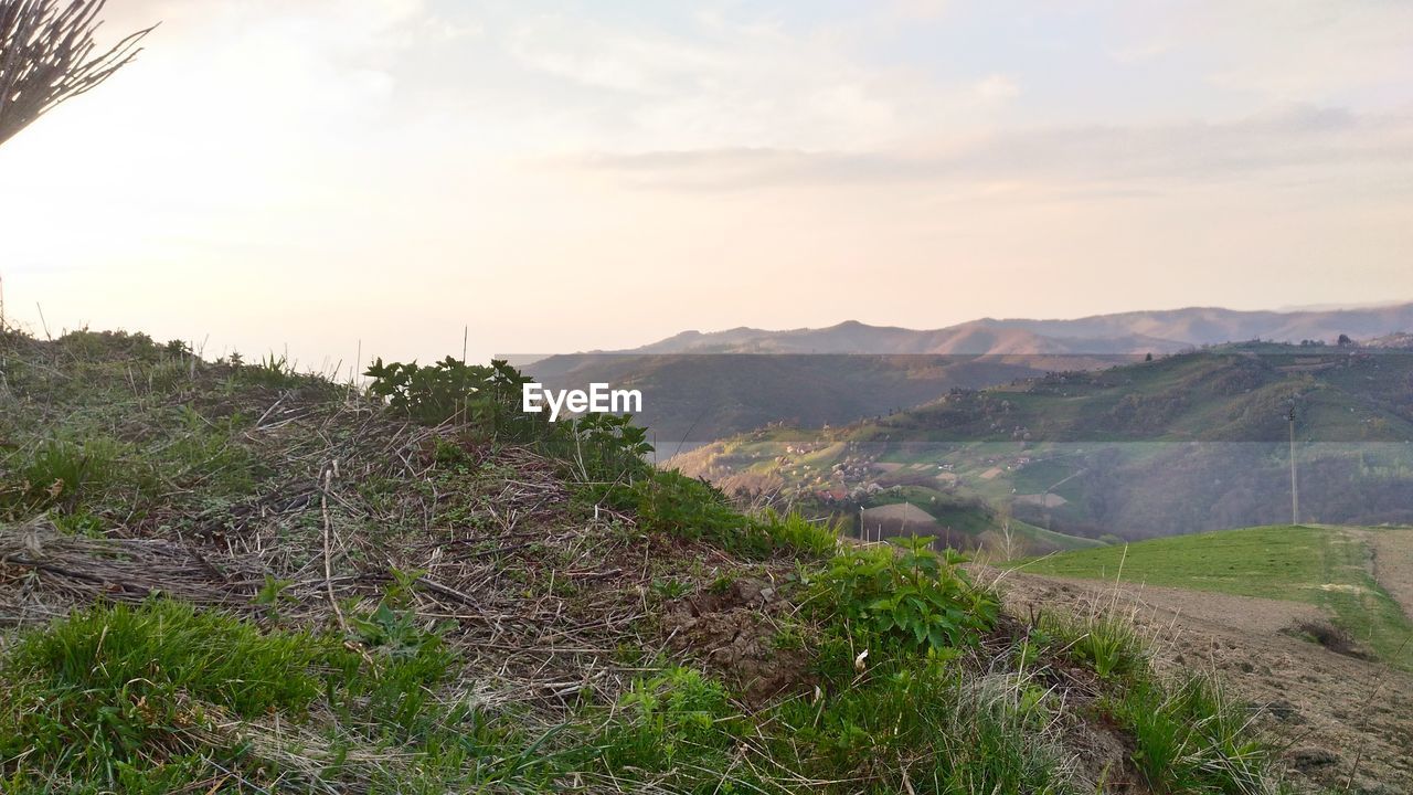 SCENIC VIEW OF FARM AGAINST SKY