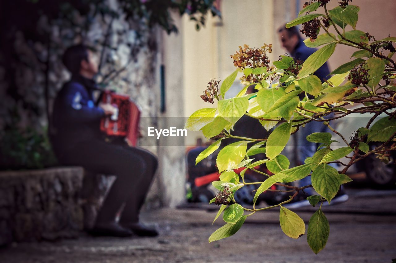 Side view of man standing by plant