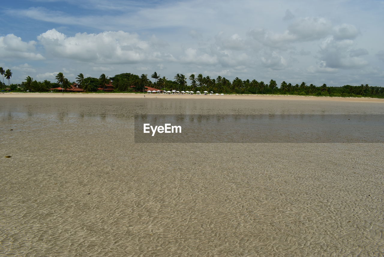 TRANQUIL VIEW OF BEACH AGAINST SKY