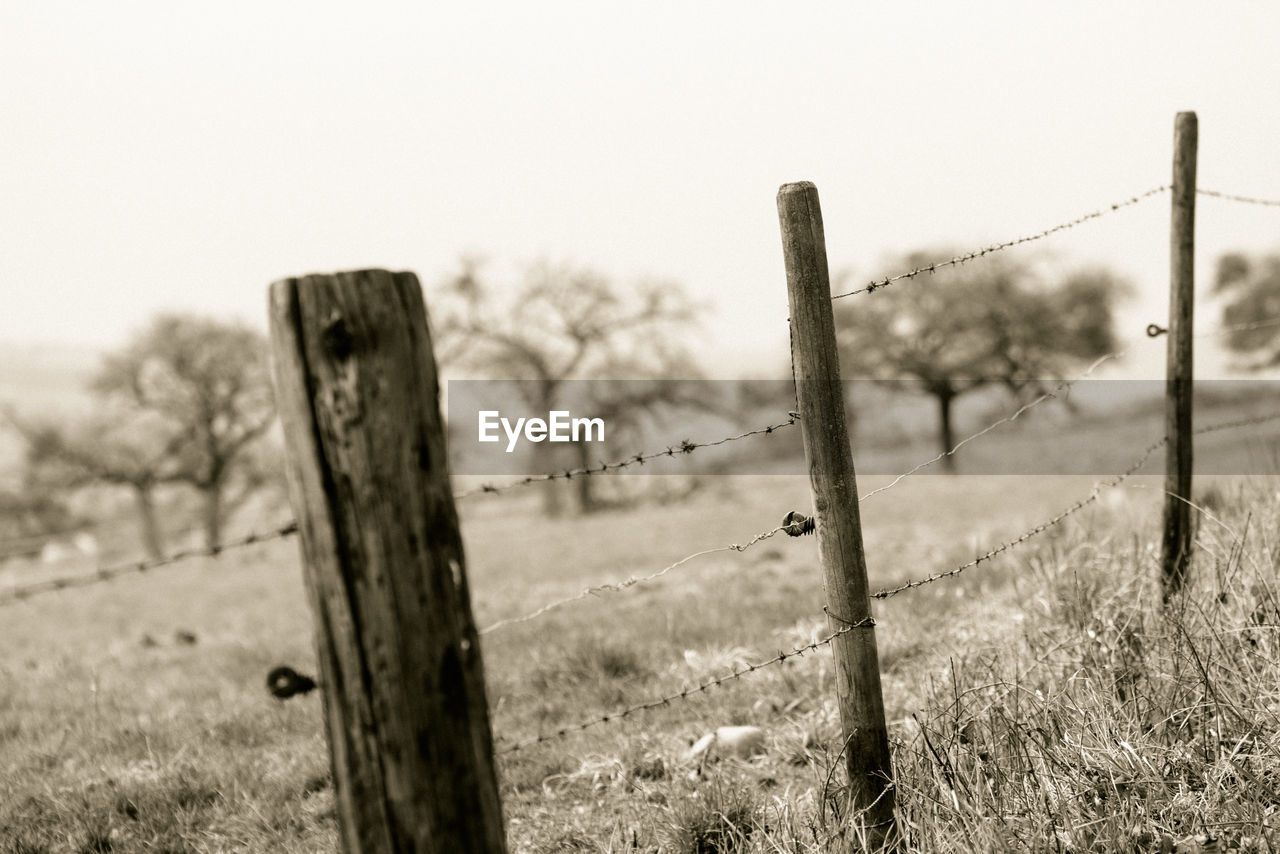 Fence on grassy field