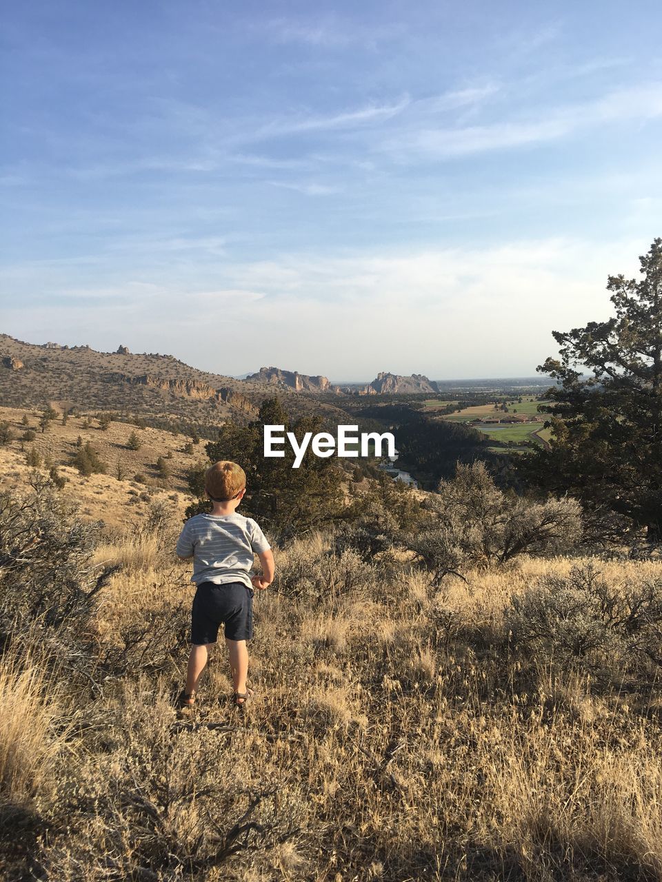 Rear view of boy standing on land against sky