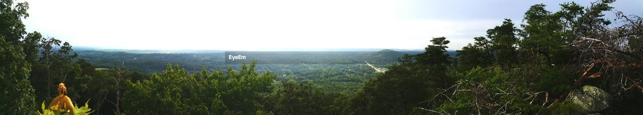 SCENIC VIEW OF MOUNTAINS