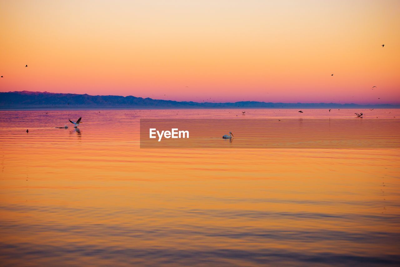 SCENIC VIEW OF SEA AT SUNSET