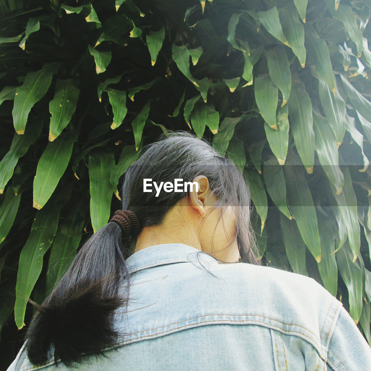 Rear view of woman standing against tree