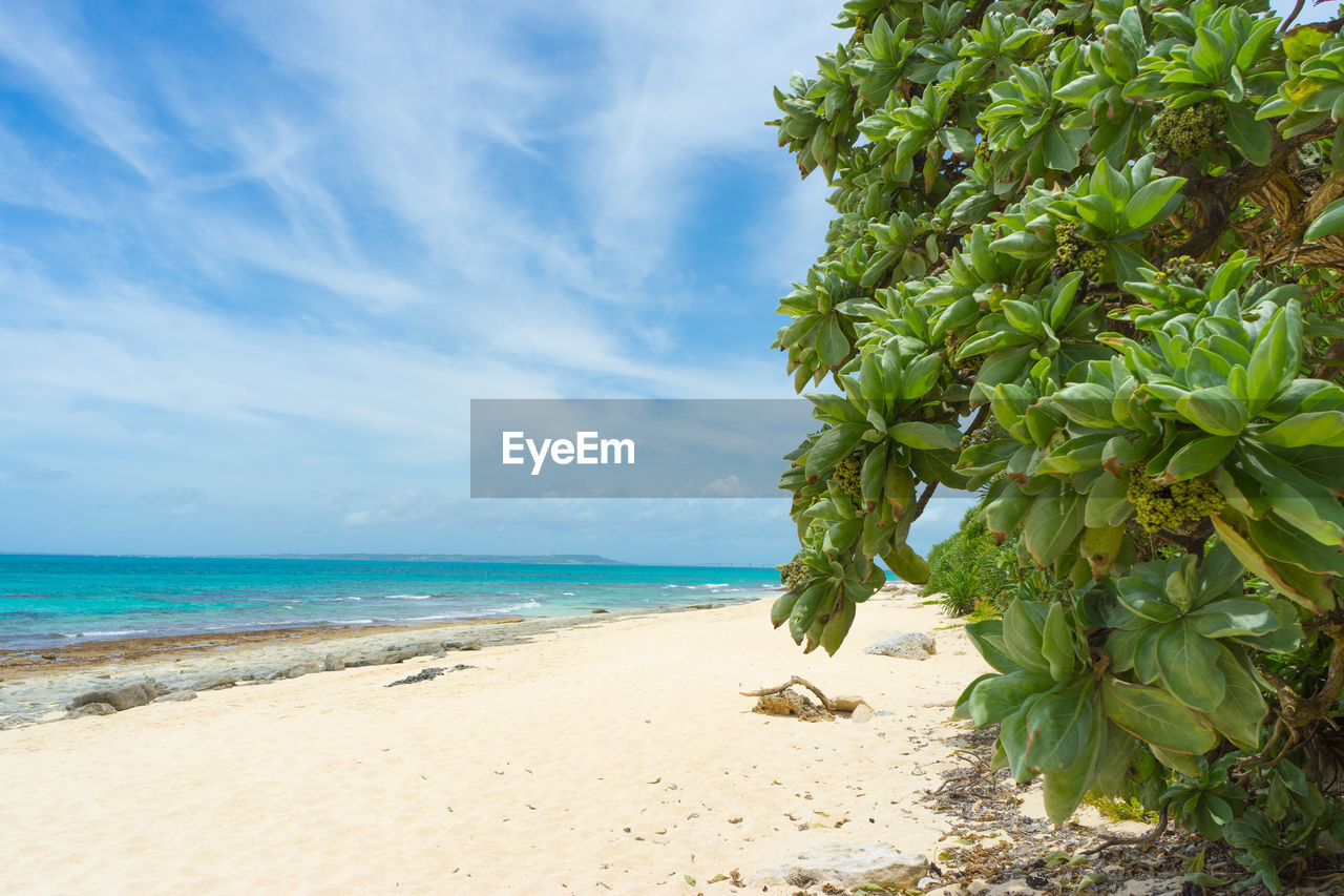 Scenic view of beach against sky