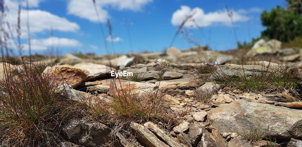 Close-up of rocks on field against sky