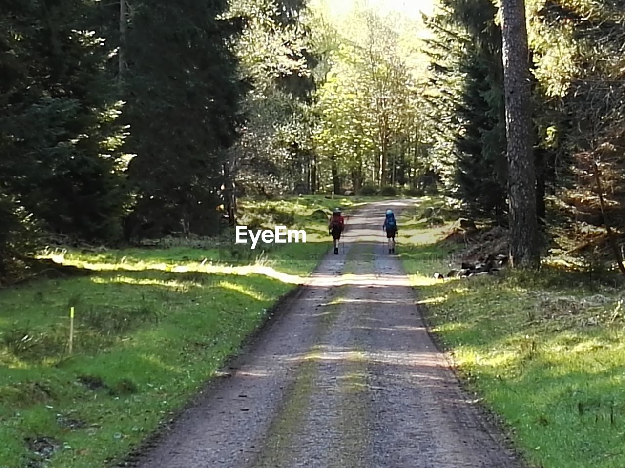 VIEW OF PEOPLE WALKING ON ROAD